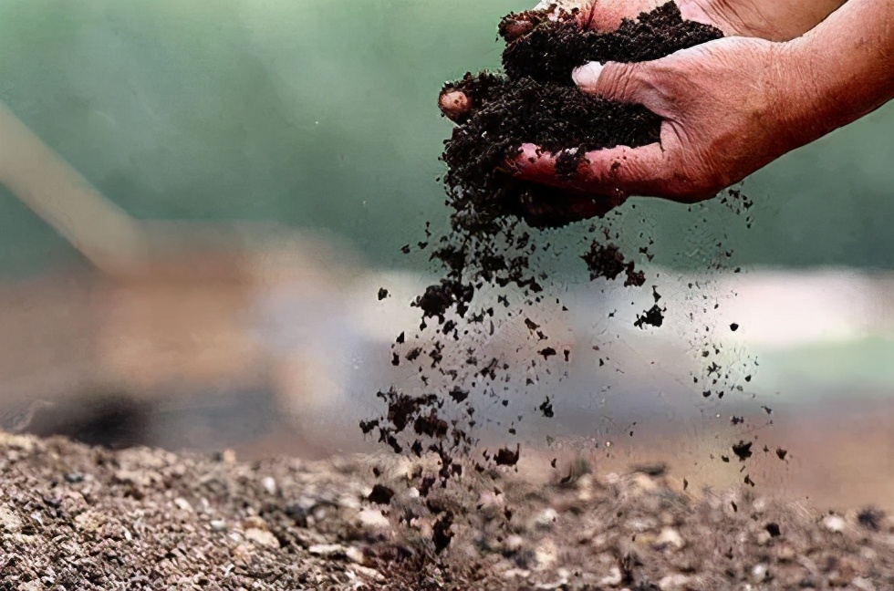 污泥的處置及資源化利用綜述 污泥的處置及資源化利用綜述